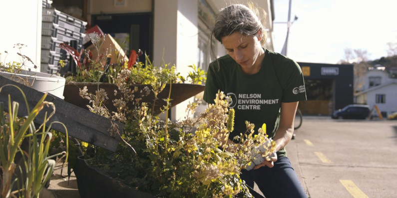 A woman in a Nelson Environment Centre t-shirt, tending to pots of plants.
